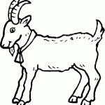 keci