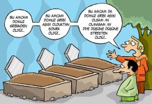 Domuz gribi aşısındaki kaos