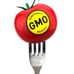 gmo